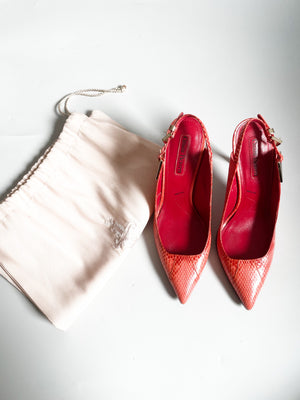 Descriptive image text