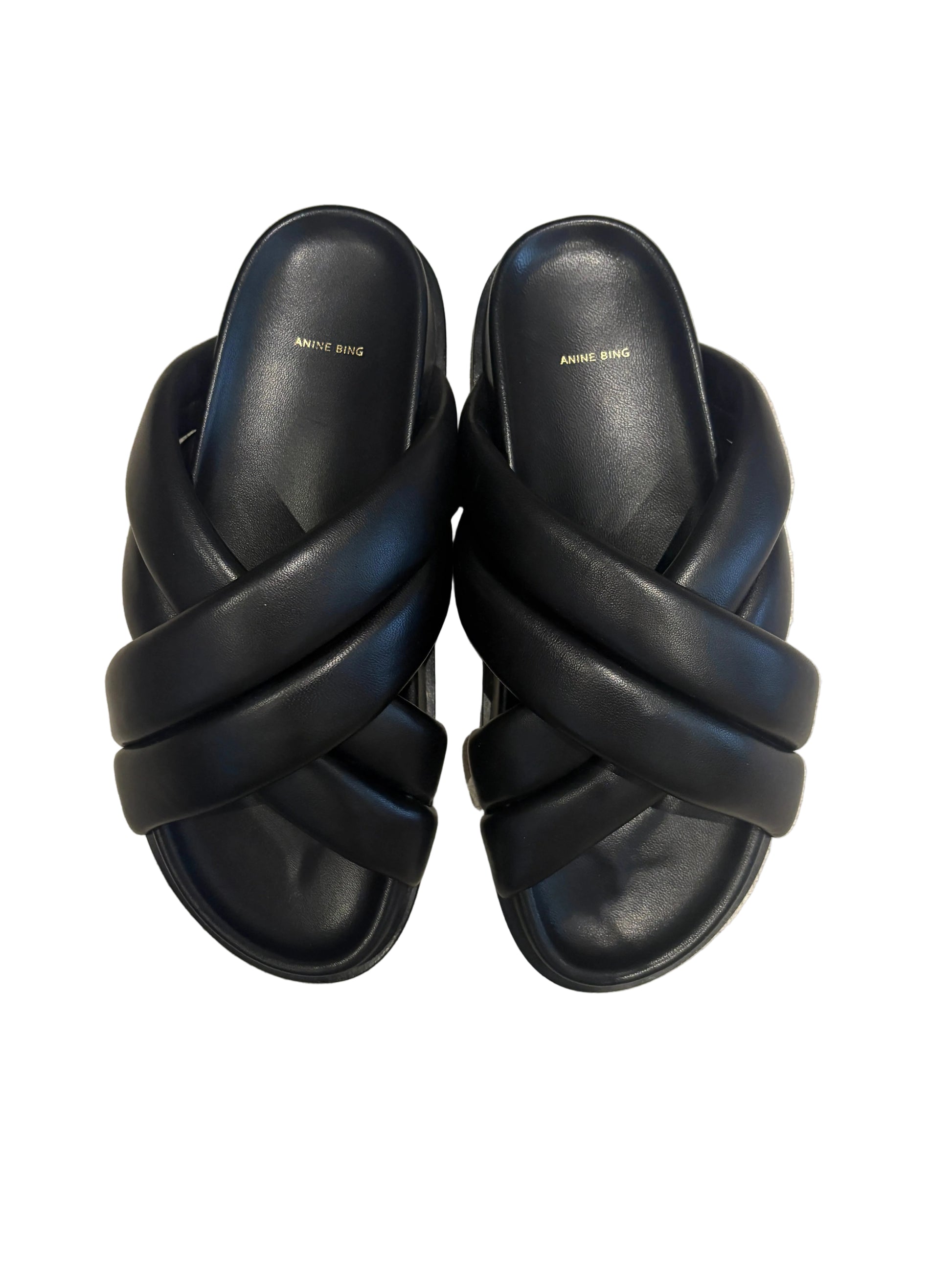 Anine Bing Emi Slides