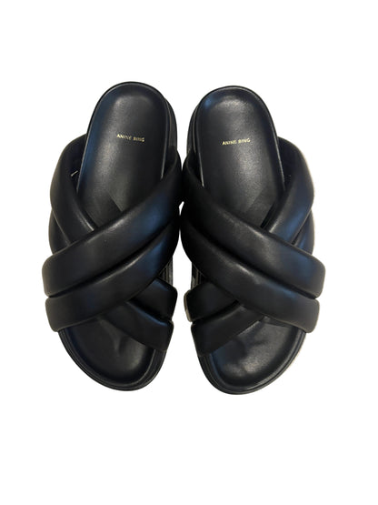 Anine Bing Emi Slides