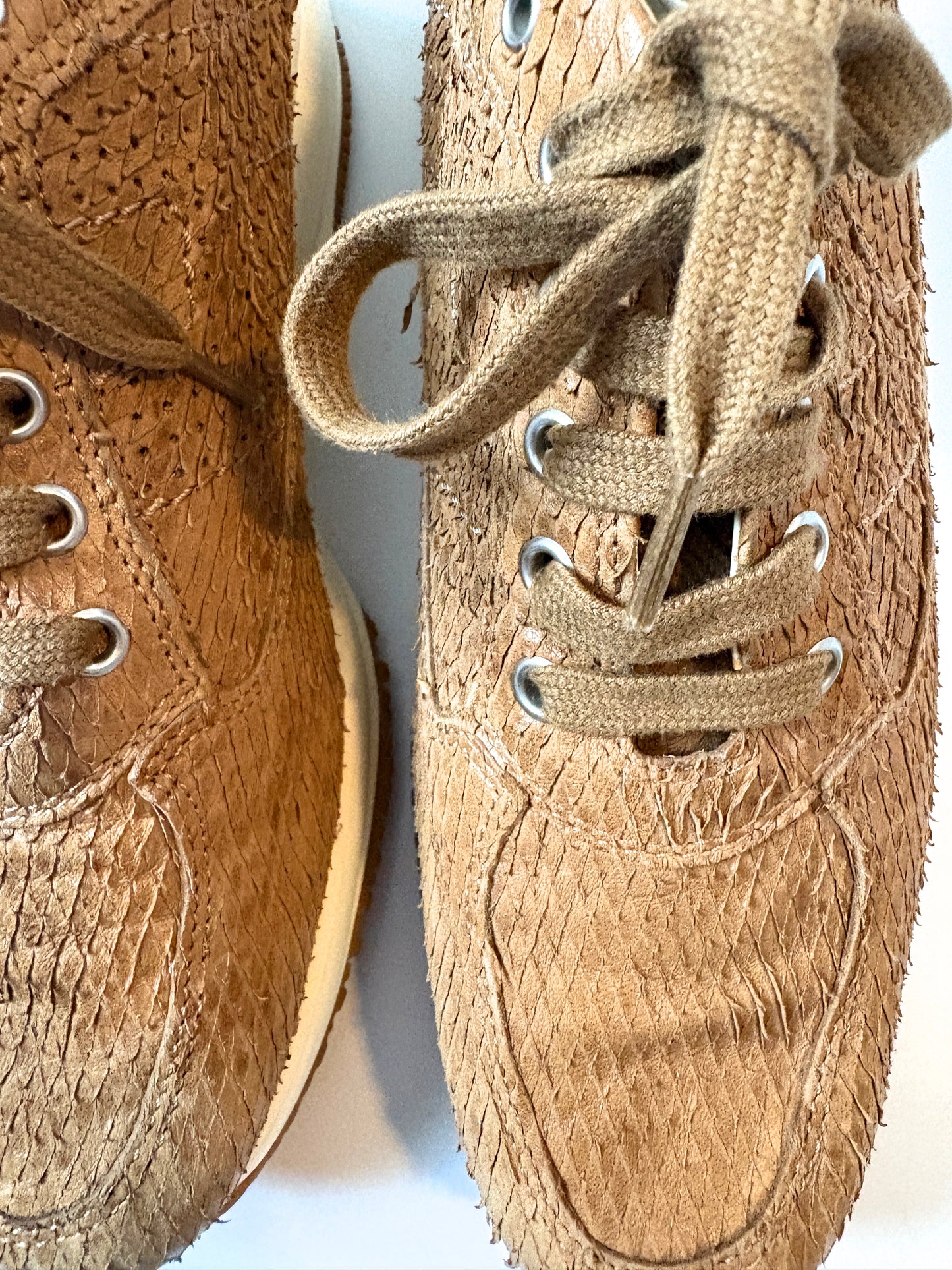 Hogan Interactive Camel Trainers UK 5