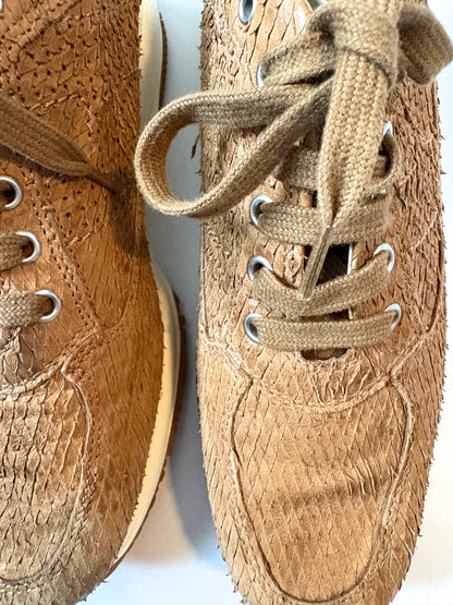 Hogan Interactive Camel Trainers UK 5
