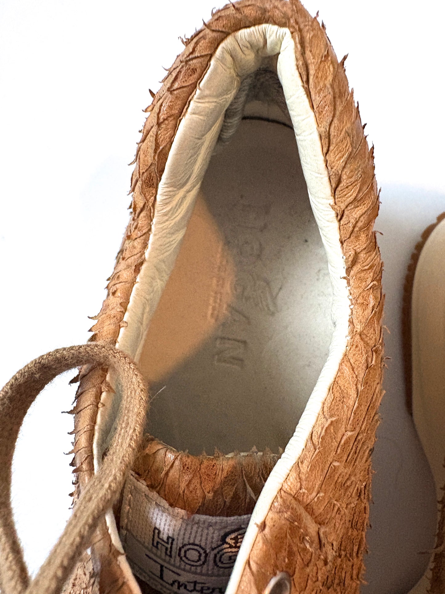 Hogan Interactive Camel Trainers UK 5