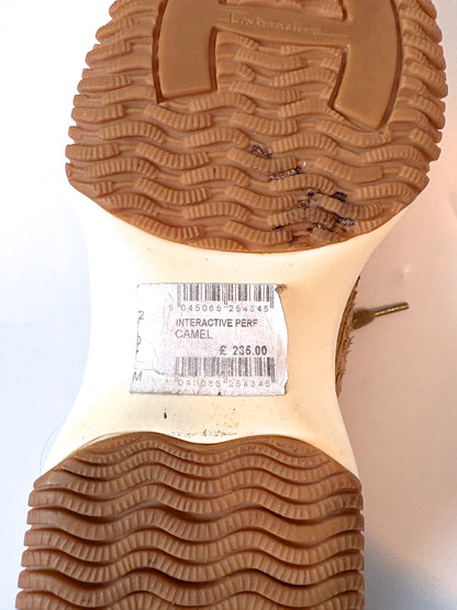 Hogan Interactive Camel Trainers UK 5